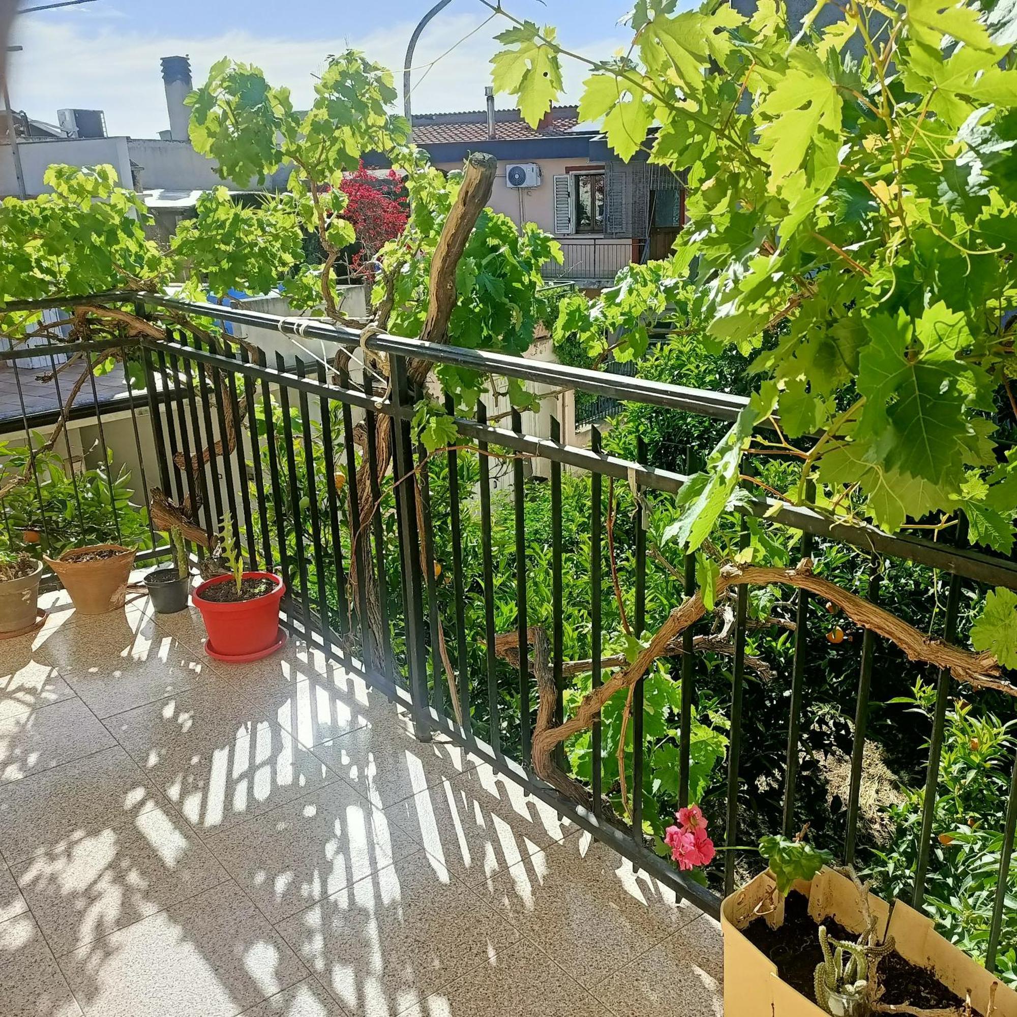 Janas House Διαμέρισμα Bari Sardo Εξωτερικό φωτογραφία