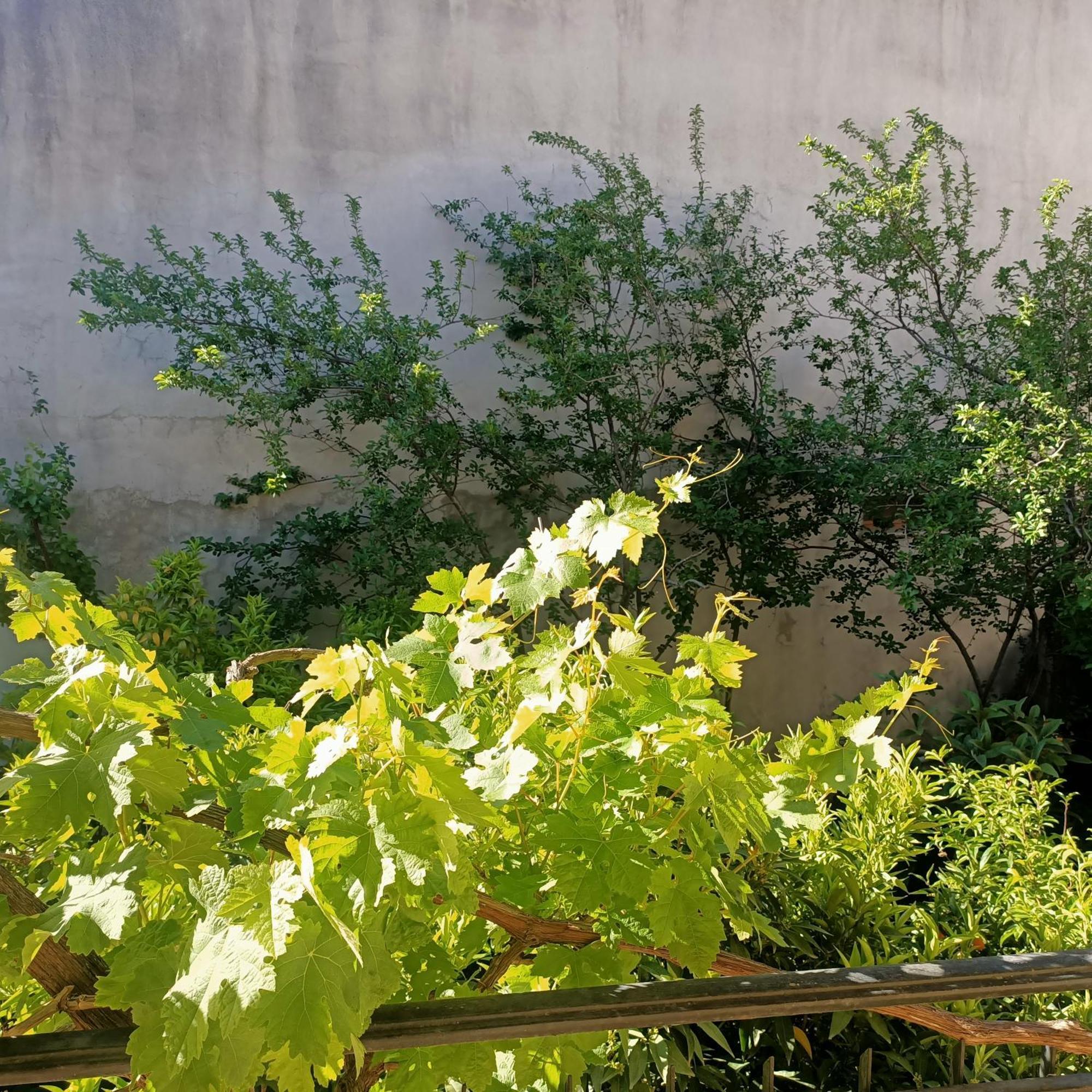 Janas House Διαμέρισμα Bari Sardo Εξωτερικό φωτογραφία