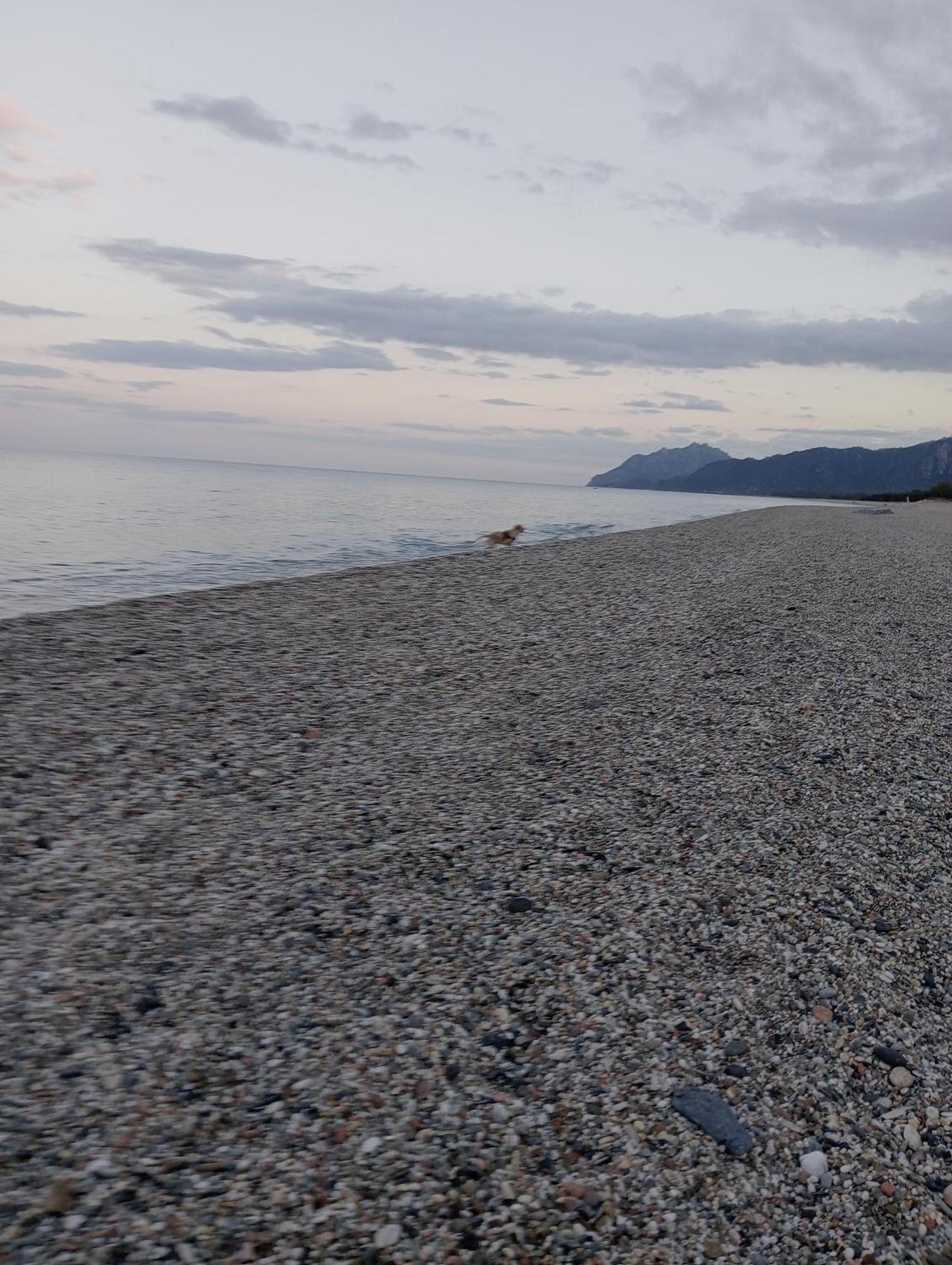 Janas House Διαμέρισμα Bari Sardo Εξωτερικό φωτογραφία